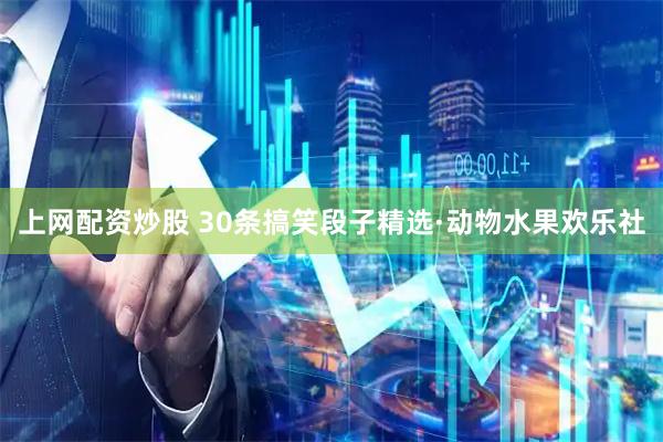 上网配资炒股 30条搞笑段子精选·动物水果欢乐社