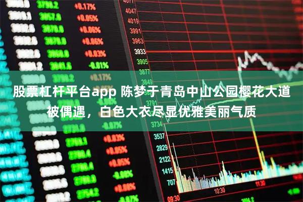 股票杠杆平台app 陈梦于青岛中山公园樱花大道被偶遇，白色大衣尽显优雅美丽气质